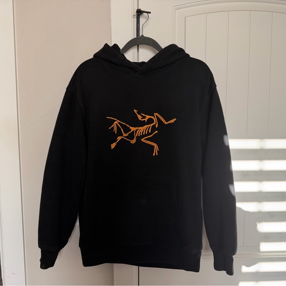 Arc'teryx Other - Arc’teryx X Palace Hoodie